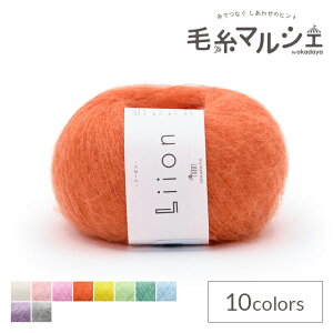 �ю� sawada itto Liion ���[�I���iSWXXXX114�j 707.�L�����b�g 06Co99_