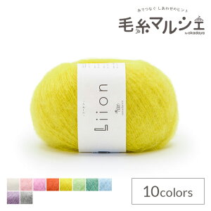 �ю� sawada itto Liion ���[�I���iSWXXXX114�j S003 .�q�}���� 06Co99_