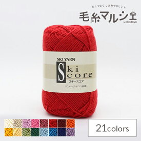 毛糸 スキー スコア 色番9 06Co99_