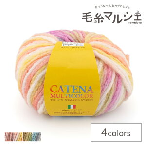 _Ԍ10%OFF^ ю XL[ Je[i}`J[ F801 06Co99_