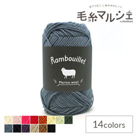 毛糸 ダルマ（横田） ランブイエメリノウール（5810） 5.アッシュブルー 06Co99_