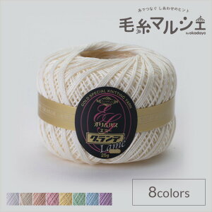 [X IpX G~[Of  FL804 06Bn99_