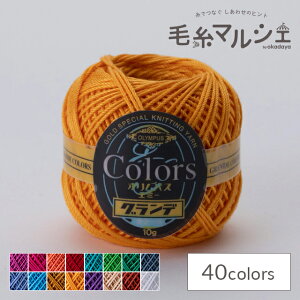 [X IpX G~[Of J[Y F555 06Bn99_