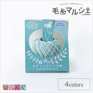 �I�����p�X �^�e�B���O���[�X�� �ׁ@�J���t�� �F��T504 06Bn99_