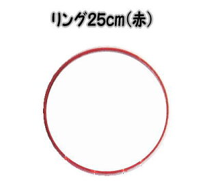 pi~O25cm() TR-13y֏/邵/݂邵/݂邵/邵/`H|/Ղ/ߋ/ւ/邵/|/邵т//߂z