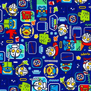 Eg}n@bIbNXG-5141@LN^[n/b o^l sO/nhCh/؂蔄/w/̈/Rbv/ٓ/n/z/LN^[n