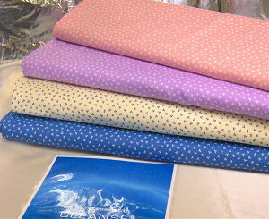 Rہ@RECXn@u[h@Rbg100yN{E/SLEANSE/N[/Q/\[COޗ/{/lR|Xz/30cm̔̔z