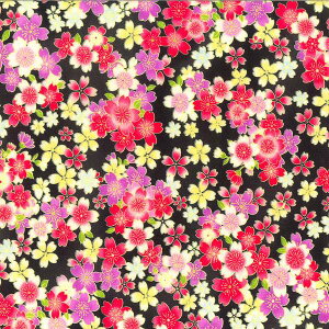 bvn 畿@38115-3y/̎q/䂩/r/Vc/s[X/V[c/pW}//TbNX//Ynz