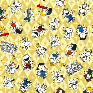 75NLO@s[ibc@_VO@G-3717@Xk[s[n@؂蔄 n z Rbg100 LN^[n @ʉ ʊw  w @Yn