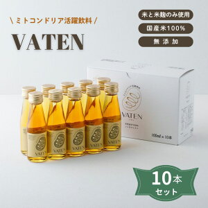 【20%off】 VATEN(バテン)100ml × 10本セット 【賞味期限2026年5月14日】【福光屋】【在庫限りで終売】1072000-kf