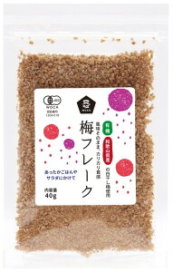 2021448-ms L@~t[N 40gy\[zy񂹁zyʌzy1`4̓[300~z