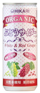 3006791-osko I[KjbNԂǂTC_[{ 250mlyqJz(1̂ɂ10{܂ōw)