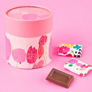 Artisan アートBOX フェアトレードミルクチョコレート (can you…?) 44g (5.5g×8個)【プレス】【第3世界ショップ】【秋冬限定】pa16-29-pr