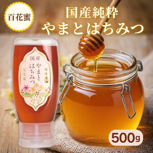 Y݂͂ (SԖ) 500g |e^Cvy܂ƖIzA-201-ya