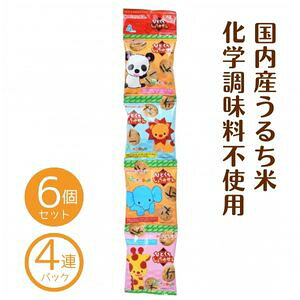 4162095-sk ЂƂ傤䂹 10g×4×6Zbgycz