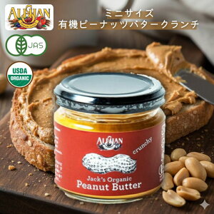 �~�j�T�C�Y �L�@�s�[�i�b�c�o�^�[�N�����`120g�y�A���T���z�I�[�K�j�b�N�s�[�i�b�c�o�^�[�N�����`�����܁E����ܕs�g�p �h���b�V���O �\�[�X Alishan ali-n31