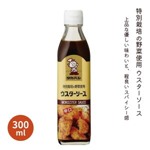 ʍ͔|̖؎gp@EX^[\[X 300mly\[Xz1004677-kfko