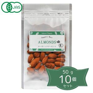 2004543-ms y񂹏izI[KjbN A[hqr 50g×10ZbgyHiz