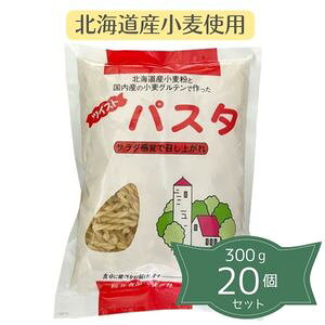 2021061-ms y񂹏izcCXgpX^qkCY_񏬔r300g×20ZbgyHiz