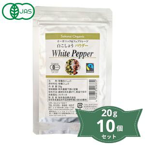 2004570-1-ms y񂹏izI[KjbN RVE   20g×10ZbgyHizy101Zbg̓[300~z