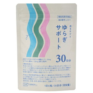 4050690-sk@Tv@炬T|[g@30180 45gi250mg×180jynЁz@\\Hiy1`4̓[300~z