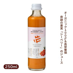 4090650-sk @傤ԂȂ́@kYv~A V[x[W[X 250mlyVYƁz