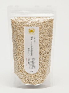 4130502-sk Y͂Ƃނъp ^Cv 450gyzHiz