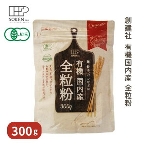 L@YS 300gynЁzy1`2̓[300~z4130325-sk