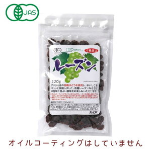 4161854-sk 有機栽培レーズン 120g【創健社】【1〜4個はメール便300円】