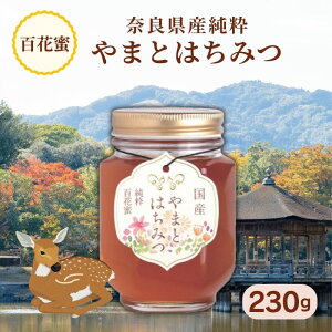 Y݂͂ iSԖj230gy܂ƖIzA-6-ya