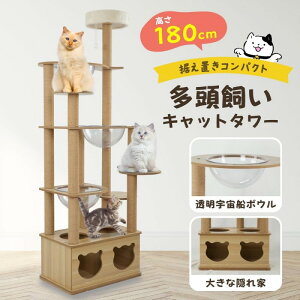 maydolly L^[ Lbg^[ ˂ ^Lp u^ X 188cm X^WA ȃXy[X  Lbgc[ ^s ܂Ƃ L Lpi ˂nEX LbgnEX 