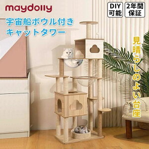 maydolly L^[ Lbg^[ ˂ ^Lp u^ X 188cm X^WA ȃXy[X  Lbgc[ ^s ܂Ƃ L Lpi ˂nEX LbgnEX 