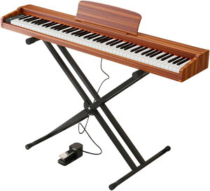 yP5{+ő2000~N[|Izmaydolly dqsAm 88 ؐX^h {\L DREAM MIDIΉ wbhz 380F Y128 fA[h ^ gm[ S qǂ l 