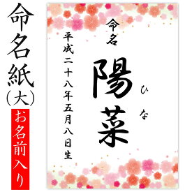 命名紙 用紙のみ デザイン命名紙（梅）【命名書台紙（大）専用】 赤ちゃん 命名書 命名紙 かわいい おしゃれ 代筆をお考えの方に人気 用紙 お七夜 命名式 お祝い ギフト 内祝い