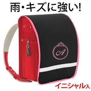 hZJo[ |Pbgt vZXyn×sNӂ×sNhJz hLY  ̎q {LYEJ烉hZ܂邿ƌIWihJ 