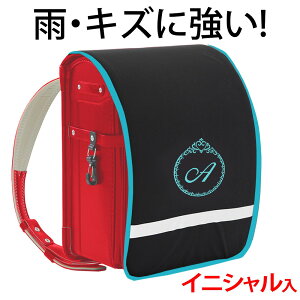 hZJo[ |Pbgt vZXyn×^[RCYӂ×FhJz hLY  ̎q {LYEJ烉hZ܂邿ƌIWihJ 