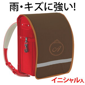 hZJo[ |Pbgt vZXyuEn×uEӂ×FhJz hLY  ̎q {LYEJ烉hZ܂邿ƌIWih