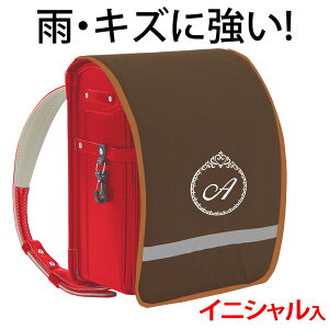 hZJo[ |Pbgt vZXyuEn×uEӂ×FhJz hLY  ̎q {LYEJ烉hZ܂邿ƌIWih