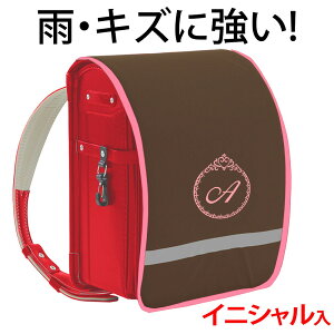 hZJo[ |Pbgt vZXyuEn×sNӂ×sNhJz hLY  ̎q {LYEJ烉hZ܂邿ƌIWih