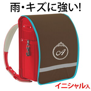 hZJo[ |Pbgt vZXyuEn×^[RCYӂ×FhJz hLY  ̎q {LYEJ烉hZ܂邿ƌIWi