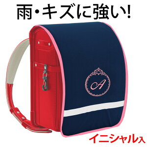 hZJo[ |Pbgt vZXyn×sNӂ×sNhJz hLY  ̎q {LYEJ烉hZ܂邿ƌIWihJ 