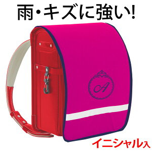 hZJo[ |Pbgt vZXysNn×lCr[ӂ×hJz hLY  ̎q {LYAJ烉hZ܂邿ƌIWihJ