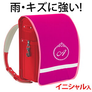 hZJo[ |Pbgt vZXysNn×sNӂ×FhJz hLY  ̎q {LYAJ烉hZ܂邿ƌIWihJ