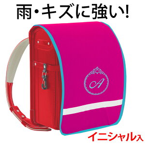 hZJo[ |Pbgt vZXysNn×^[RCYӂ×FhJz hLY  ̎q {LYAJ烉hZ܂邿ƌIWih