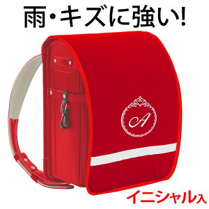 hZJo[ |Pbgt vZXyԐn×bhӂ×hJz hLY  ̎q {LYEJ烉hZ܂邿ƌIWihJ ˃e