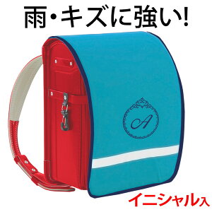 hZJo[ |Pbgt vZXy^[RCYn×lCr[ӂ×hJz hLY  ̎q {LYEJ烉hZ܂邿ƌIWih