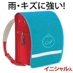 hZJo[ |Pbgt vZXy^[RCYn×^[RCYӂ×FhJz hLY  ̎q {LYJ烉hZ܂邿ƌIWi