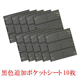 ǉ|PbgV[g F 10Zbg(Lʐ^120j OAop JX^}CY