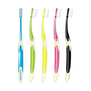 yΏۏiPT10{JÒz GC W[V[ VF B-10 uV 5{ S 炩 yzyňl풆z