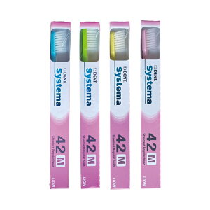 yΏۏiPT10{JÒz CI DENT. EX VXe} uV 4{ A\[g 42M M[ ӂyzyňl풆z